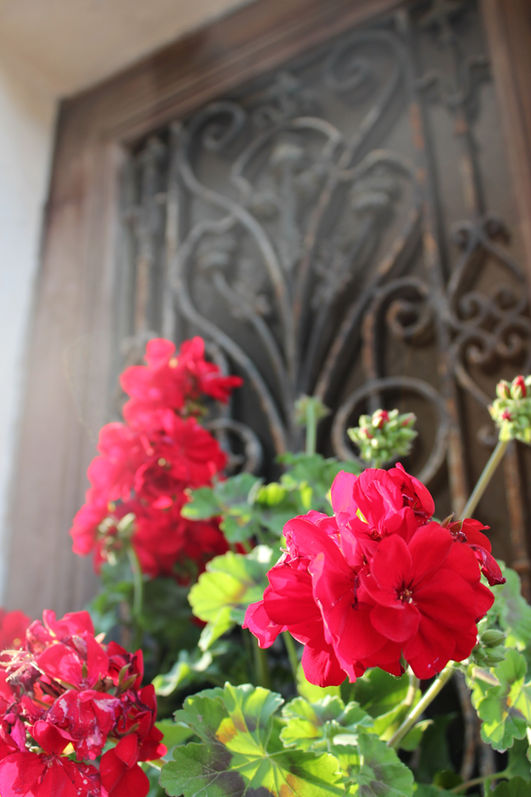 Photography Image 13